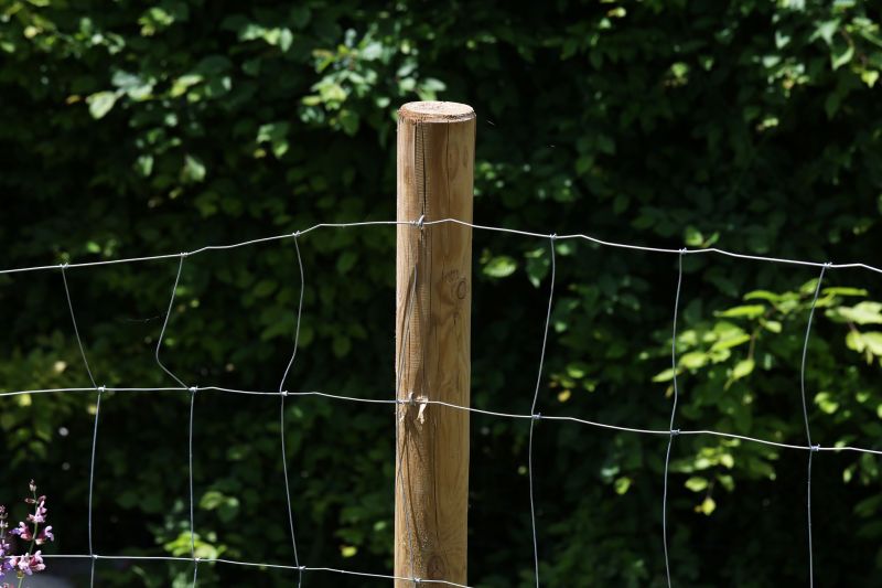 Wire Fence Replacement